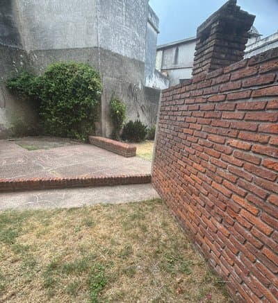 Imagen 13