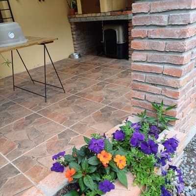 Imagen 9