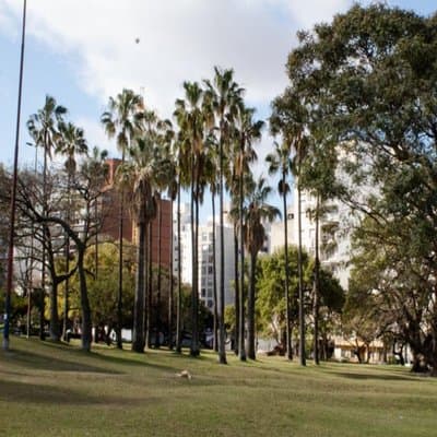 Imagen 10