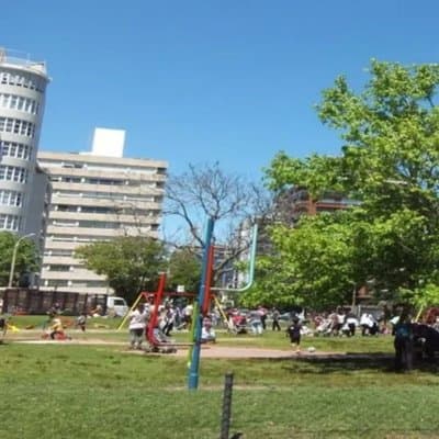 Imagen 11