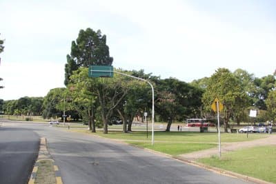 Imagen 13
