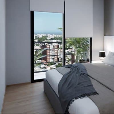 Imagen 8