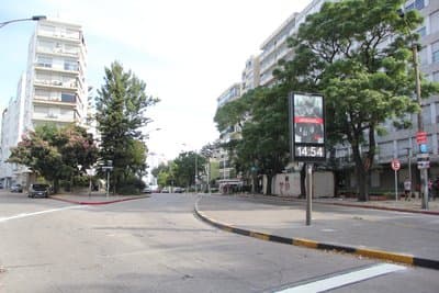 Imagen 14