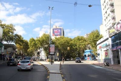 Imagen 9