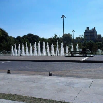 Imagen 8