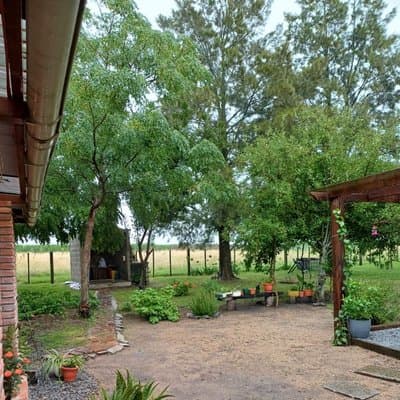 Imagen 8
