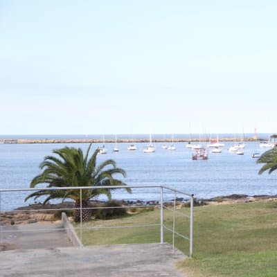 Imagen 8