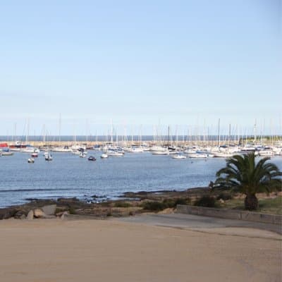 Imagen 10