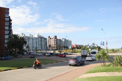 Imagen 7