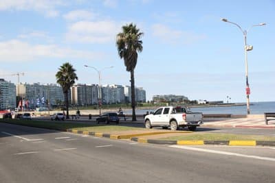 Imagen 8