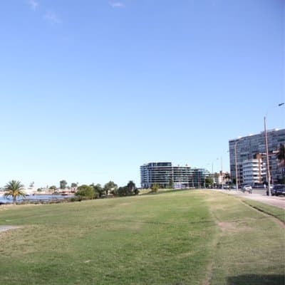 Imagen 11