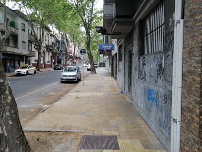 Imagen 11