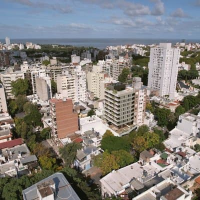 Imagen 10