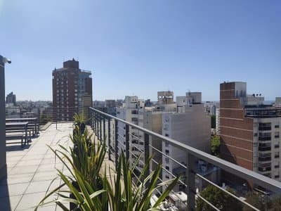 Imagen 10