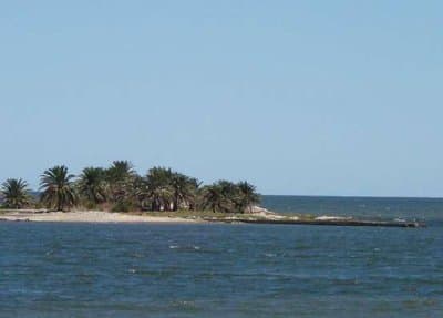 Imagen 12