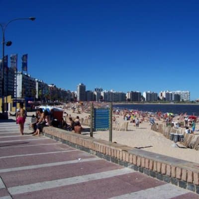 Imagen 4